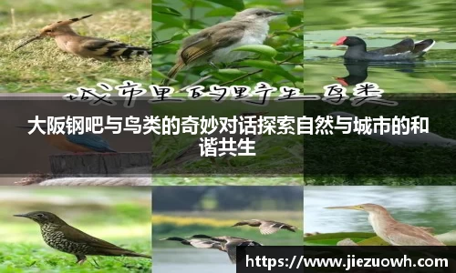 哈哈体育官方网站