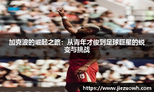 HAHA体育官网